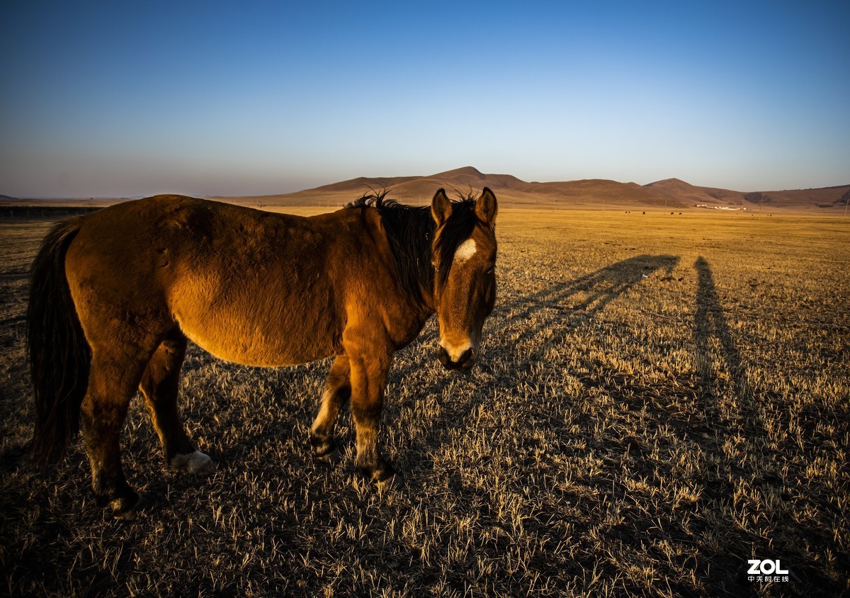 #回顾2019#拍点有温度的照片，感动自己，温暖他人。