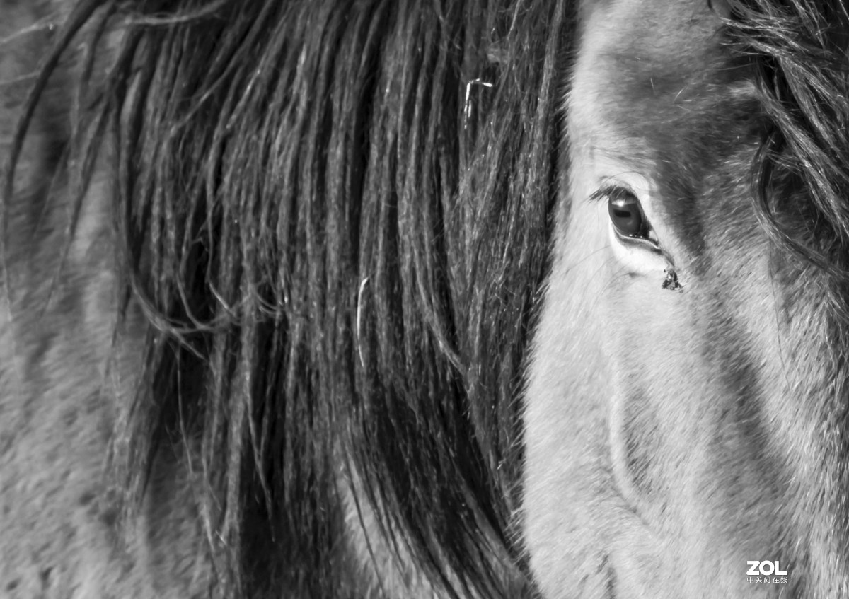 #回顾2019#拍点有温度的照片，感动自己，温暖他人。