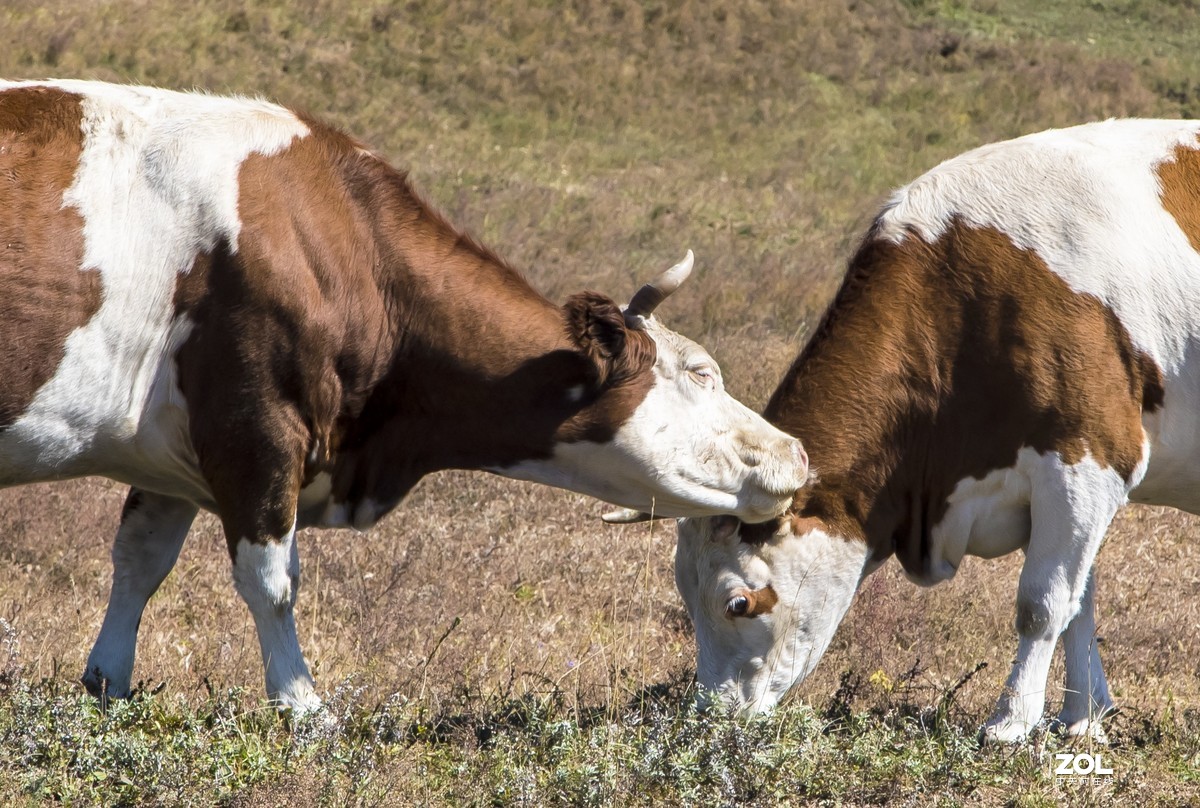 #回顾2019#拍点有温度的照片，感动自己，温暖他人。