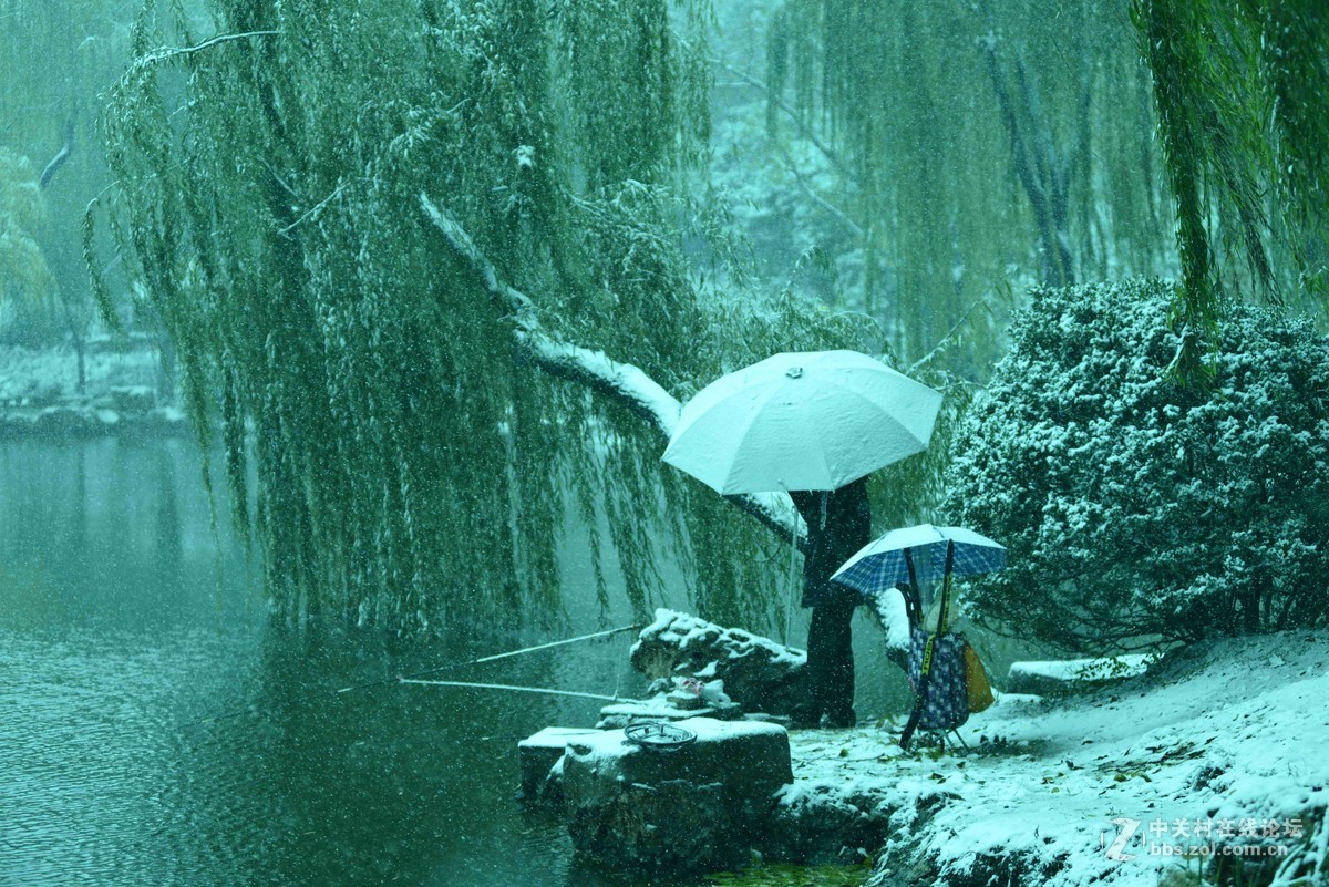北京——雪中紫竹院