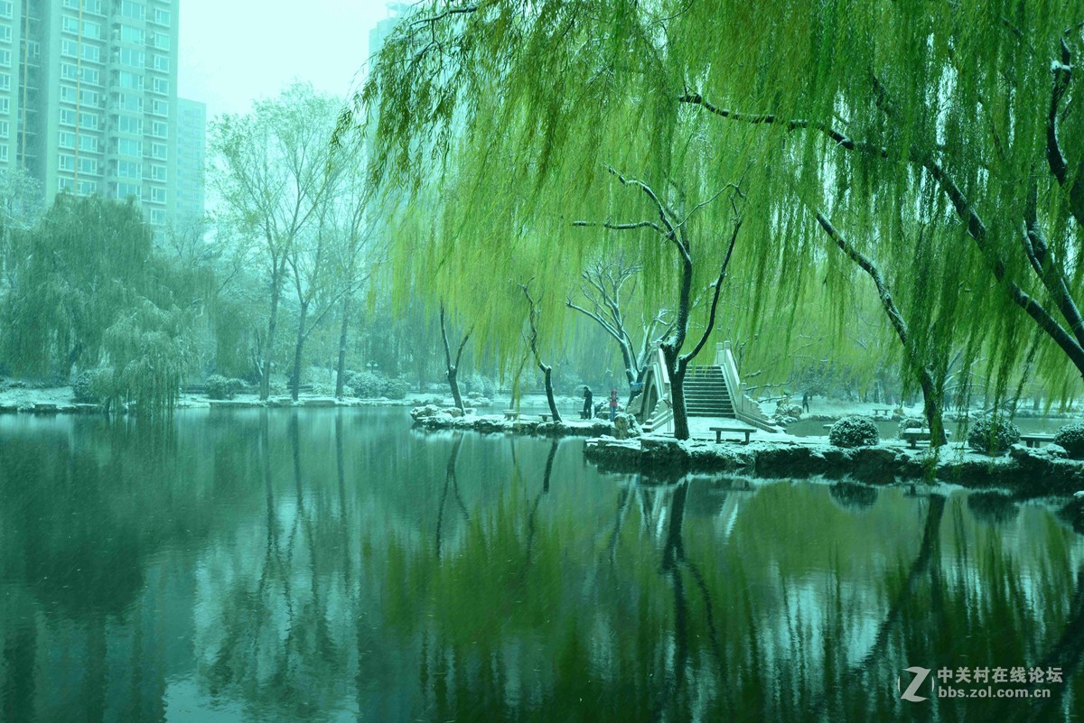 北京——雪中紫竹院