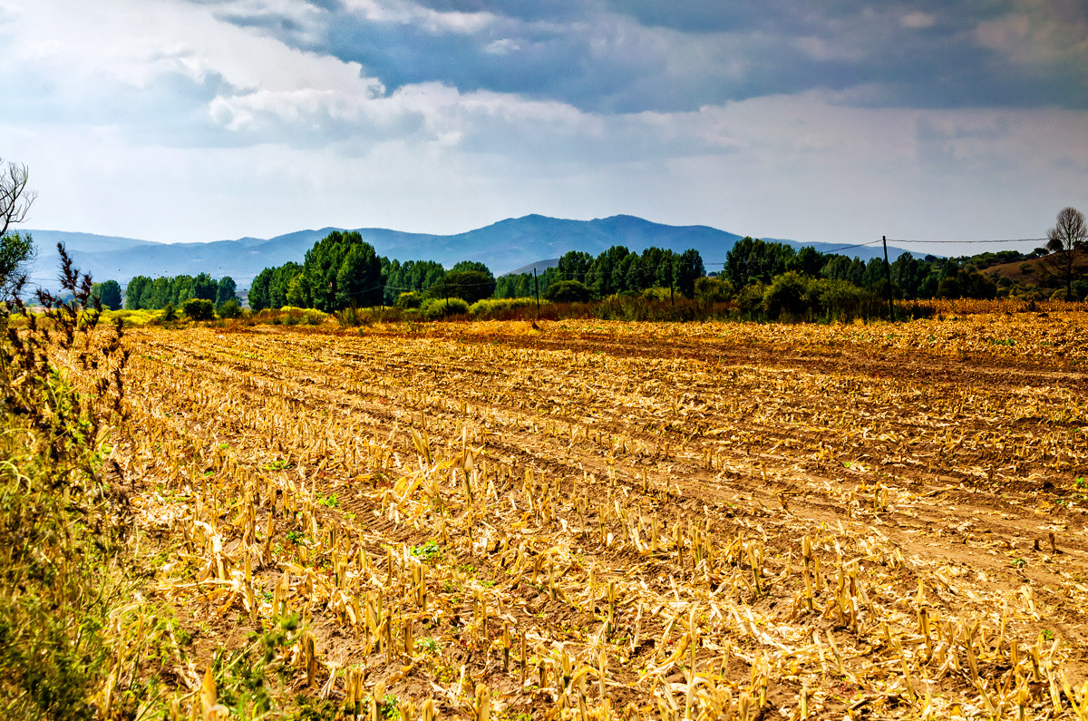 2012.09.《走进内蒙多伦大草原》