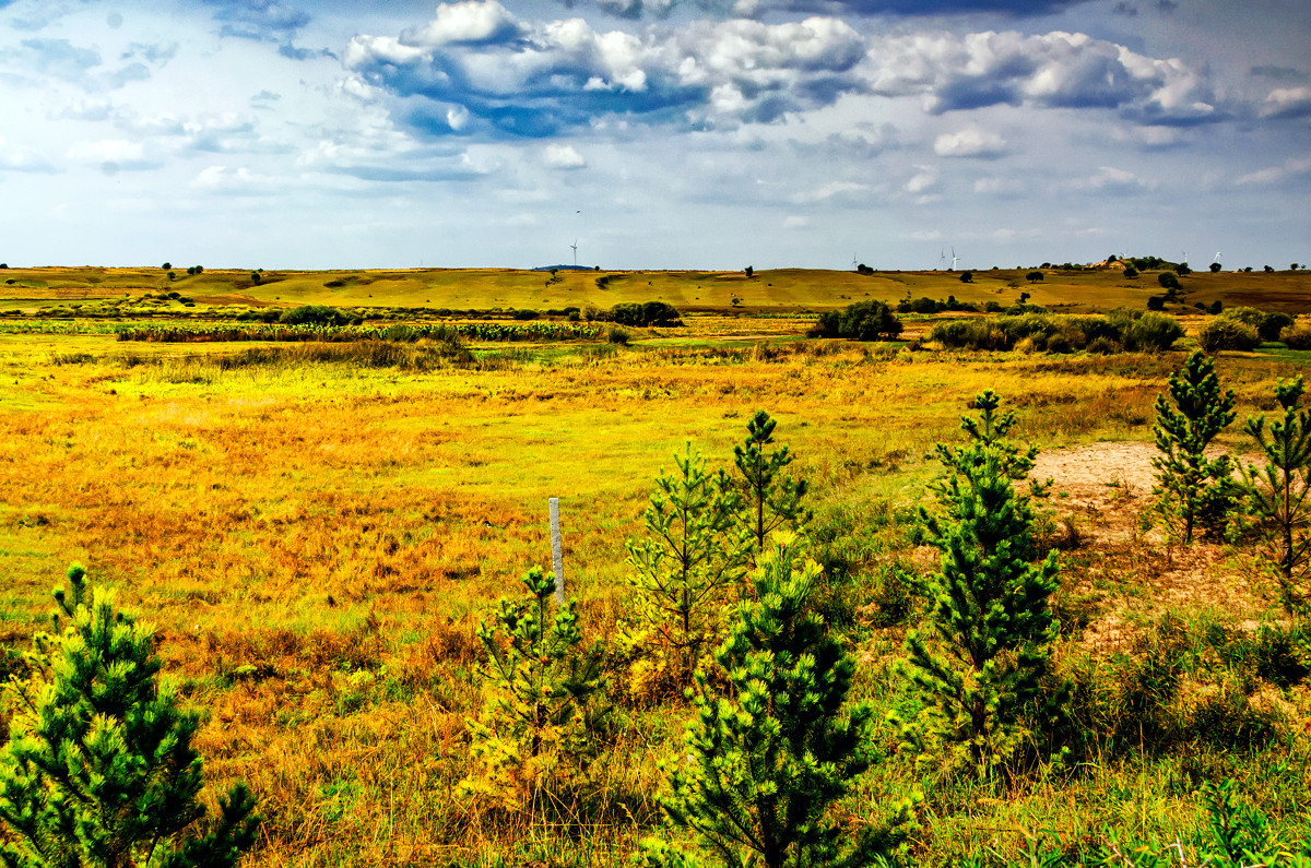 2012.09.《走进内蒙多伦大草原》