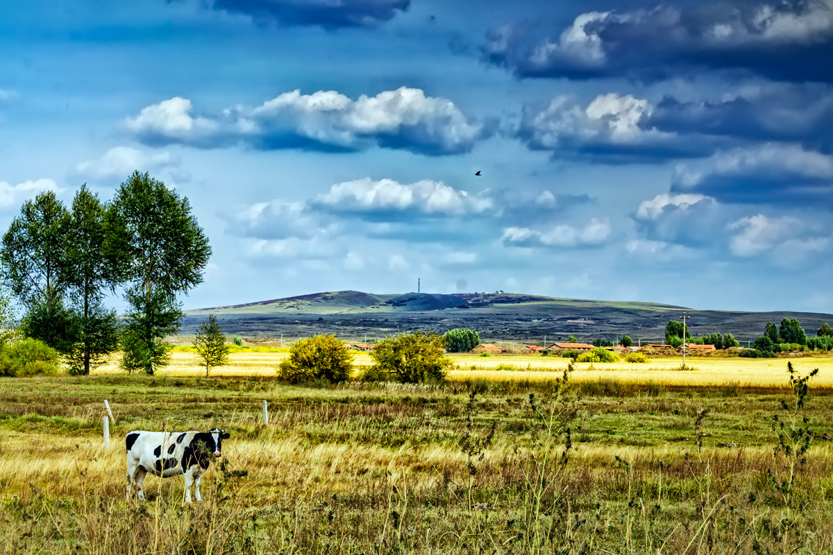 2012.09.《走进内蒙多伦大草原》