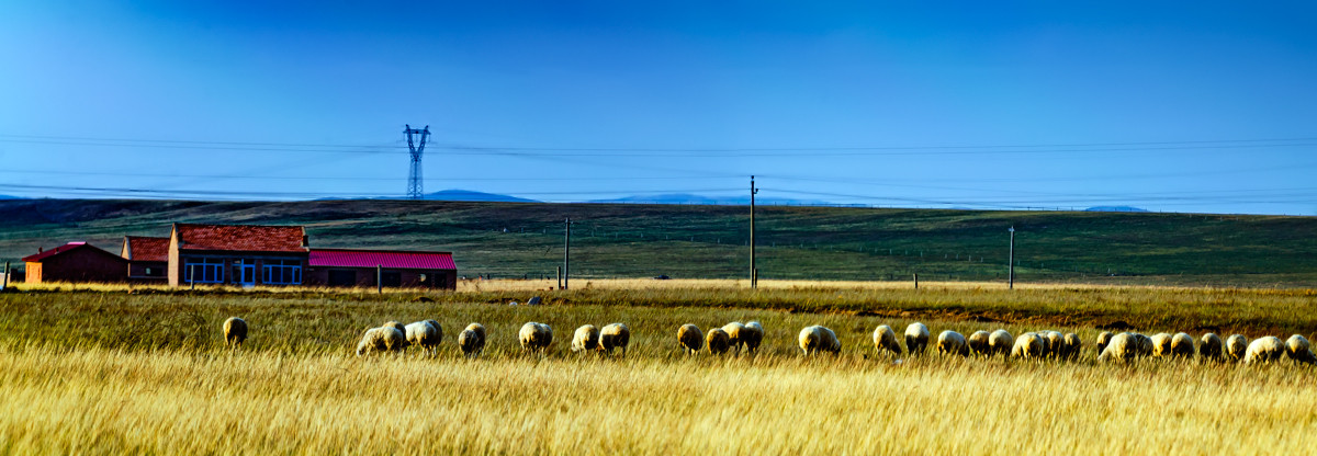 2012.09.《走进内蒙多伦大草原》