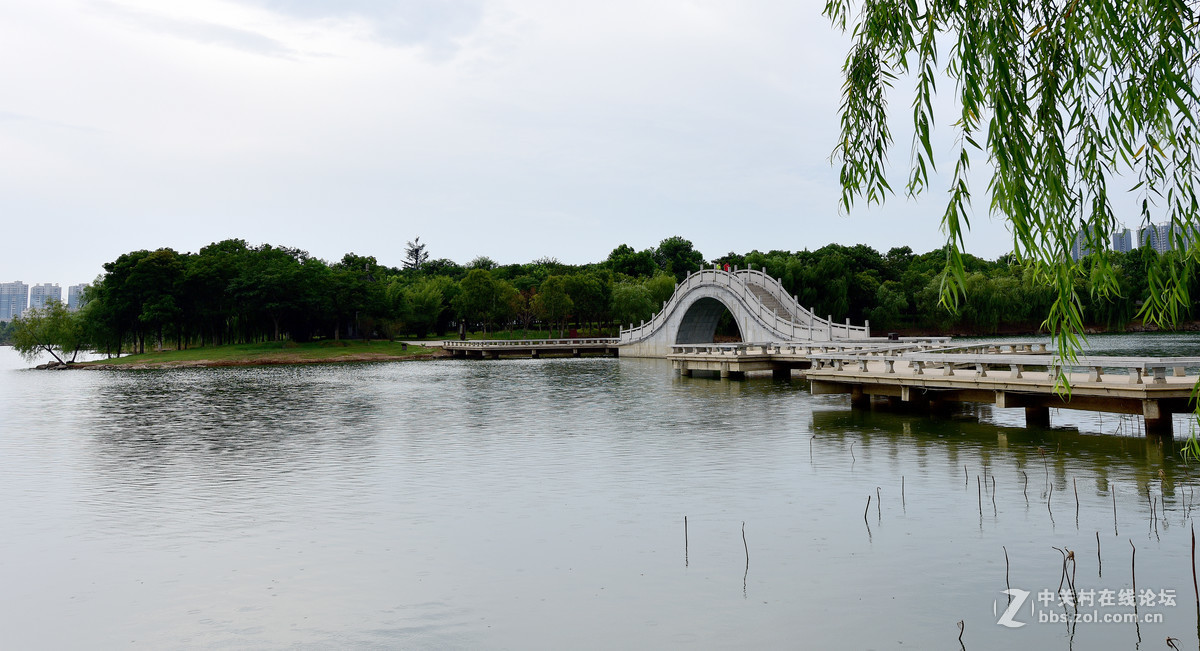 黃岡市遺愛湖公園景色之二