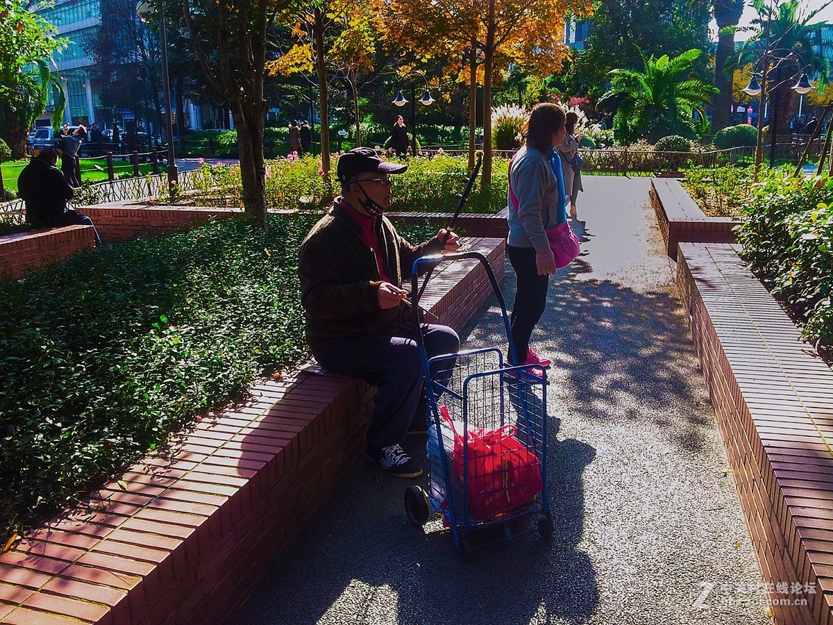 一组公园人物手机杂拍