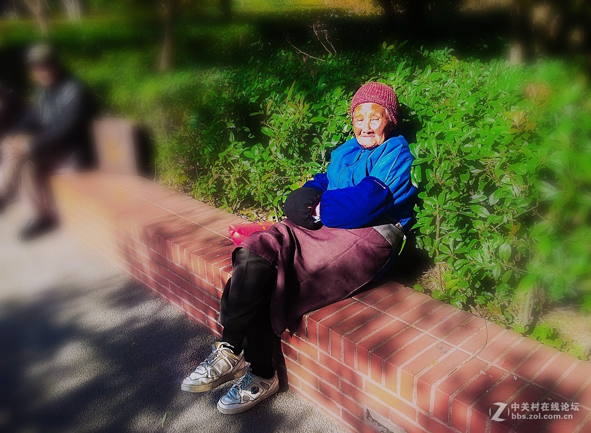 一组公园人物手机杂拍