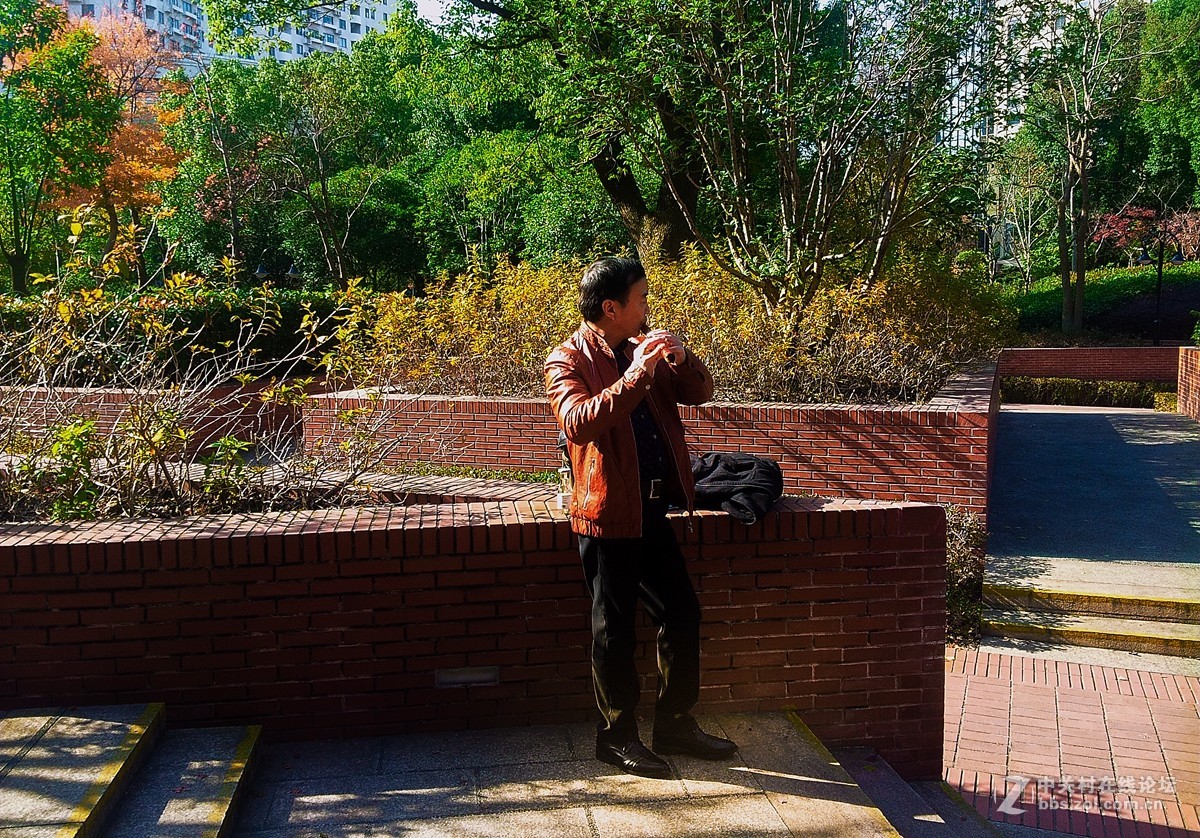 一组公园人物手机杂拍