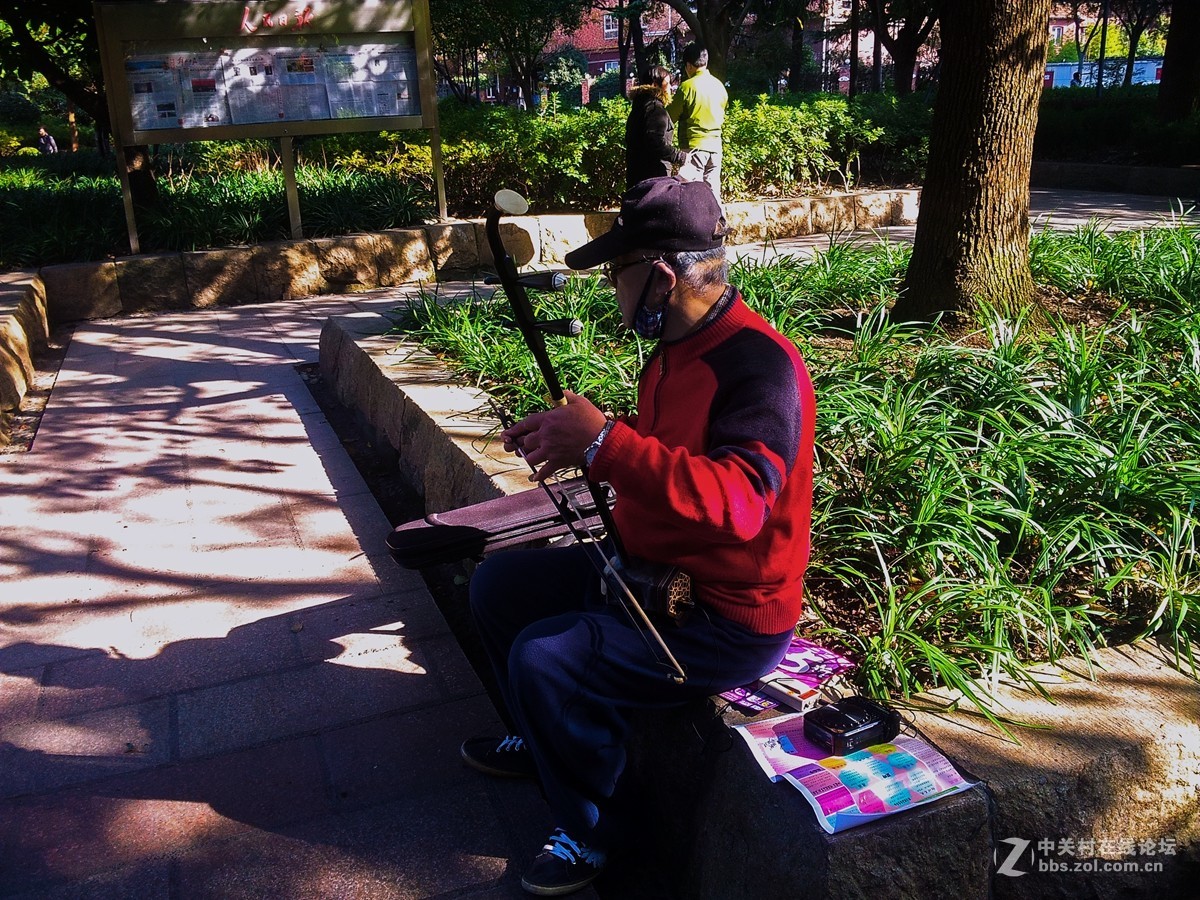 一组公园人物手机杂拍