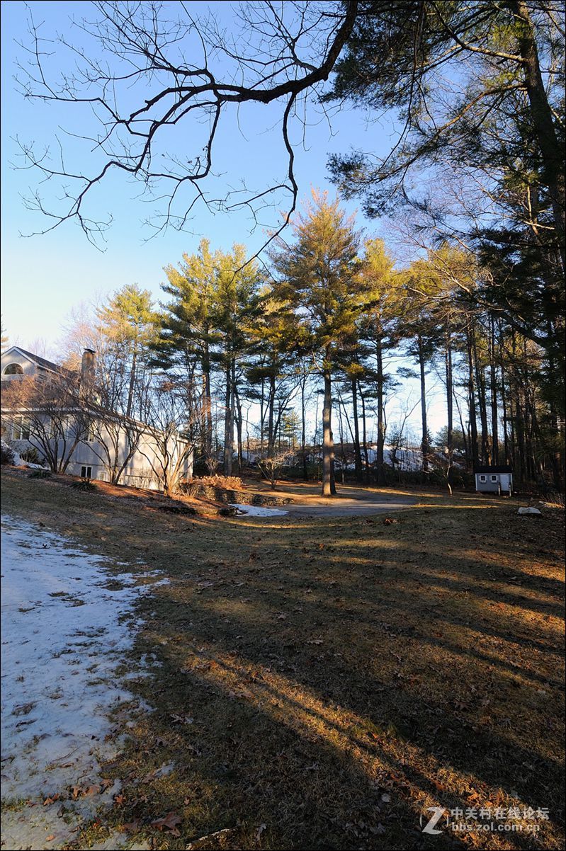 休闲随拍（359）