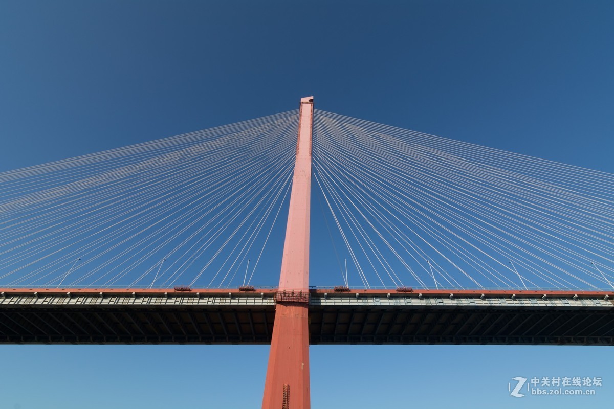 杨浦滨江的顺光逆光