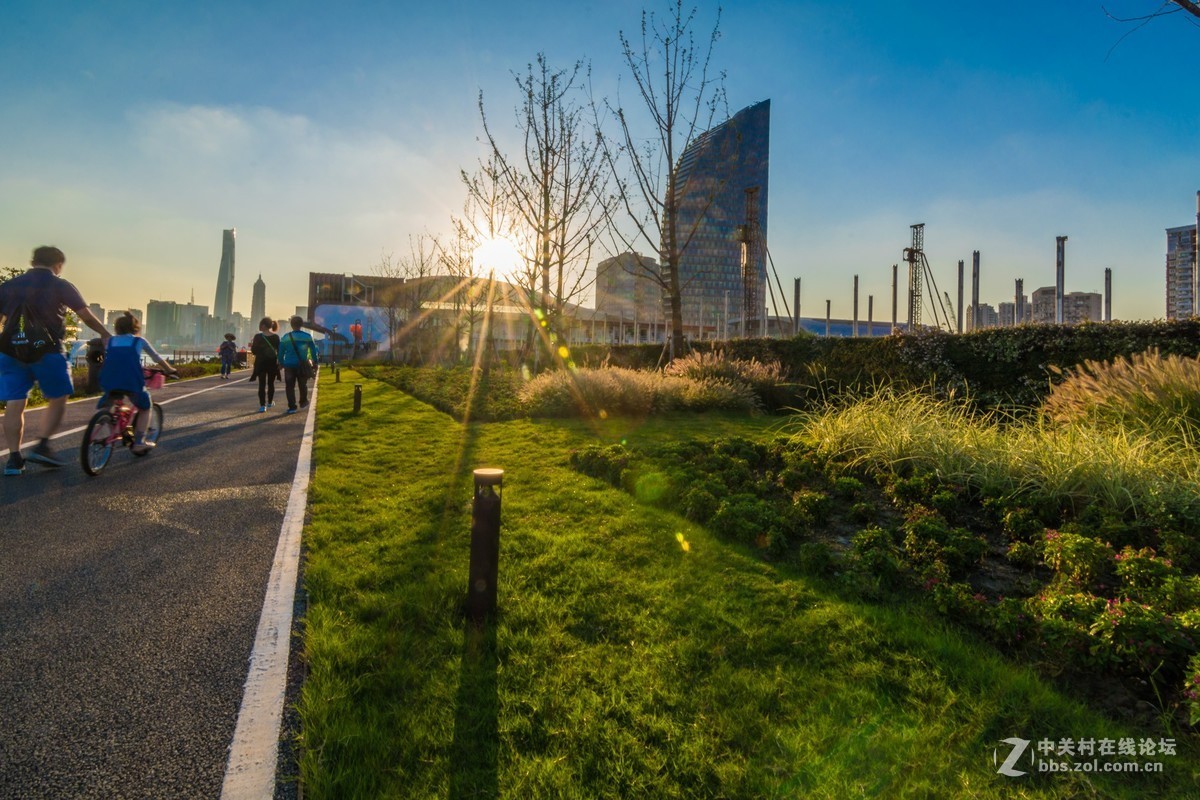 杨浦滨江的顺光逆光