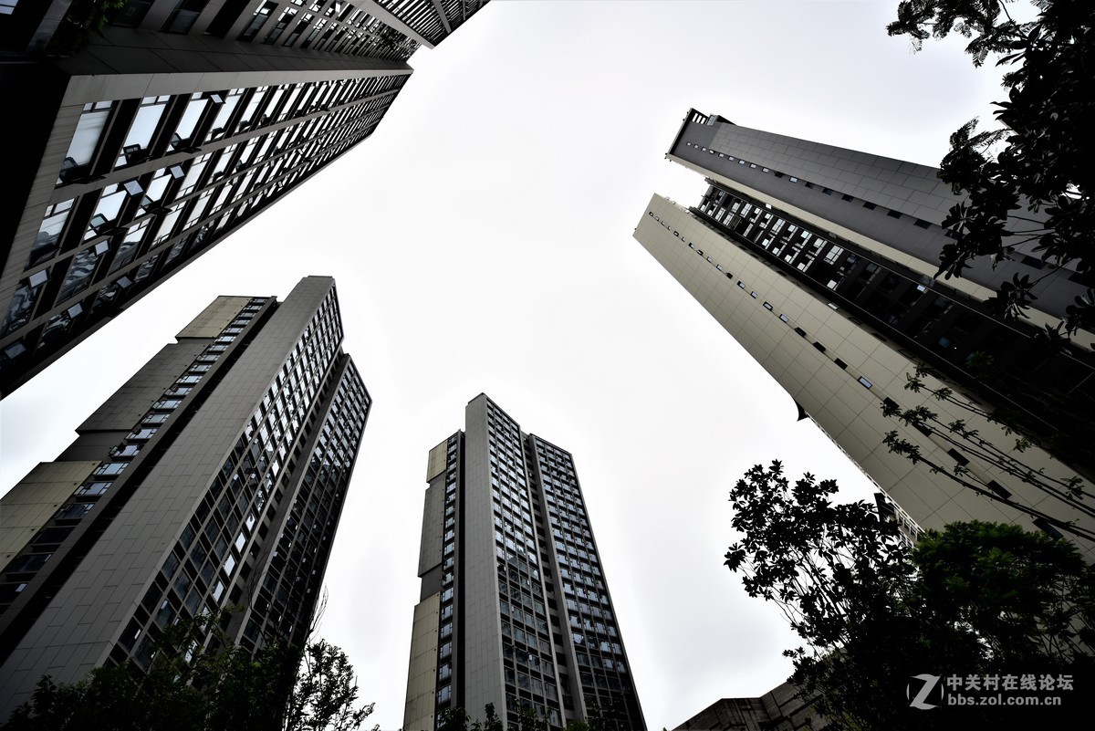 尼康1424  2.8  试镜