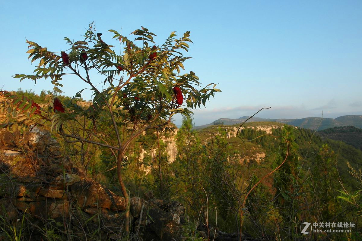 『秋日沂蒙山区的一个清晨』123...12P