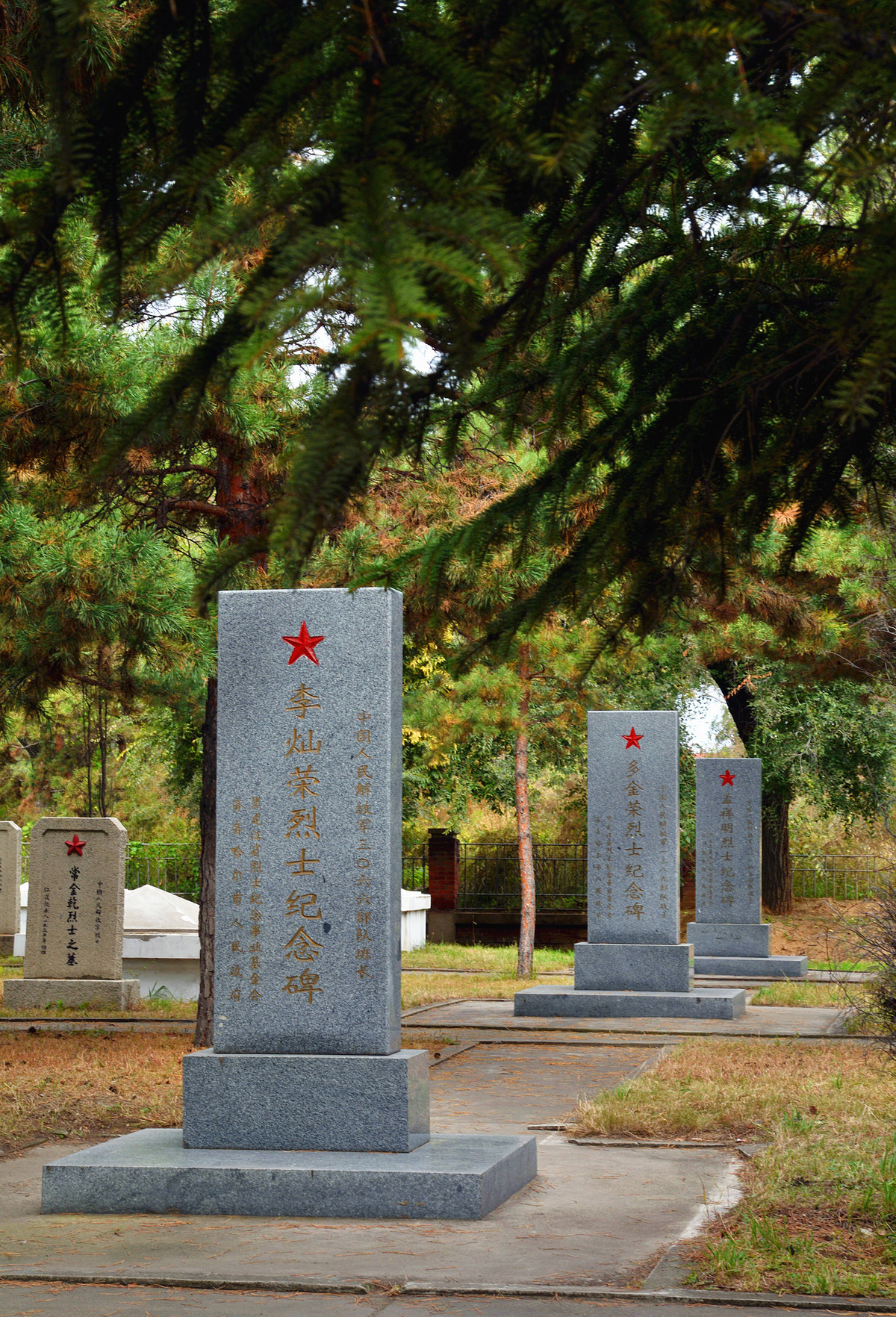 烈士纪念日祭奠革命先烈