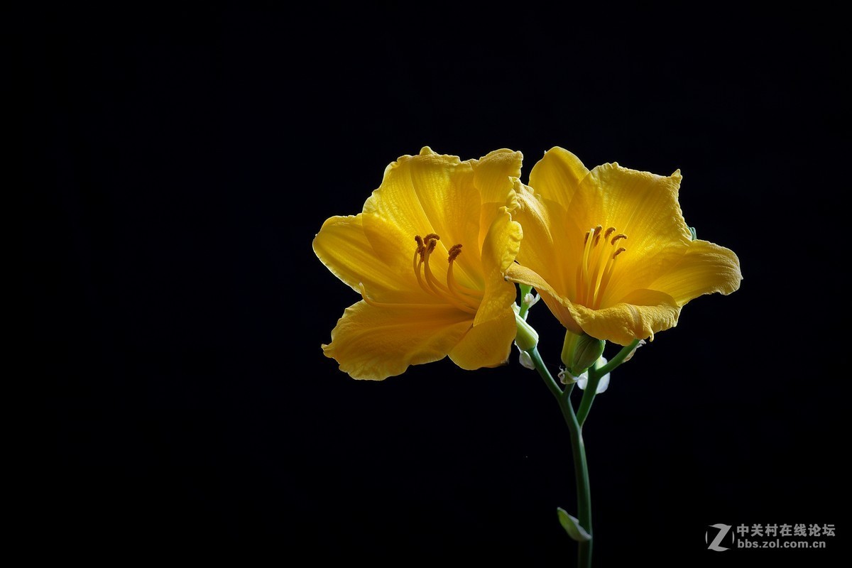 #版主坐堂#【南京星空(中国)】2015年09月部分优秀作品欣赏