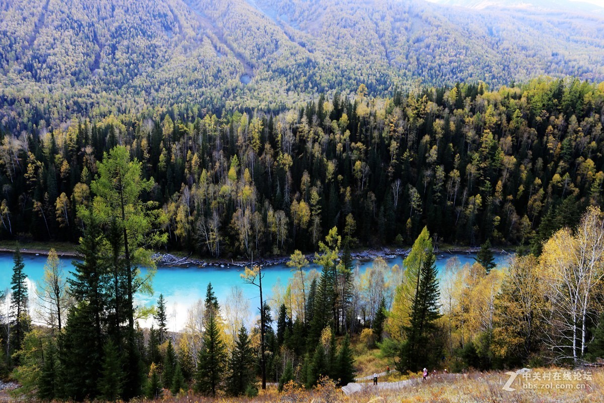喀纳斯三湾——神仙湾、月亮湾、卧龙湾-中关村在线摄影论坛