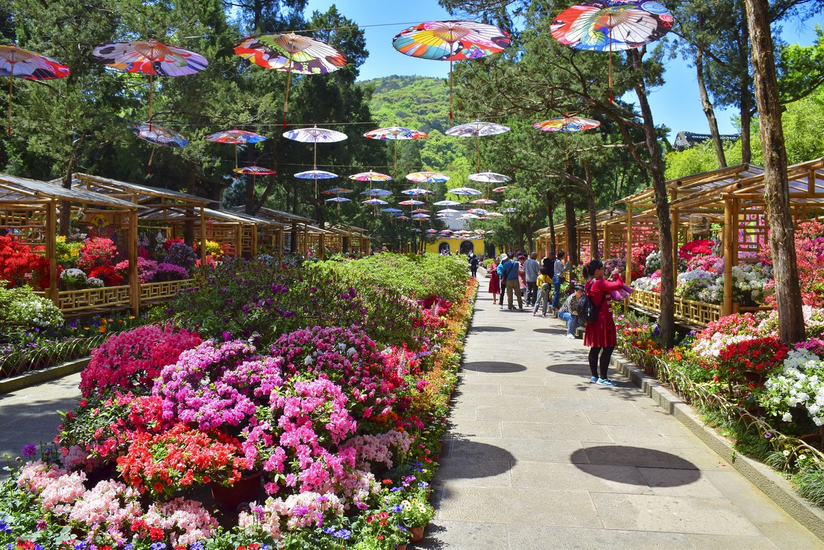 无锡锡惠公园及惠山历史名胜区的春天