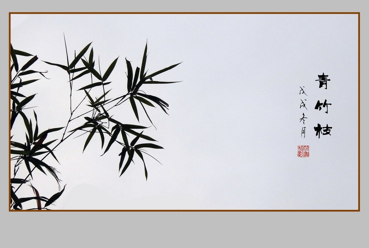 逆光瘦竹更幽雅