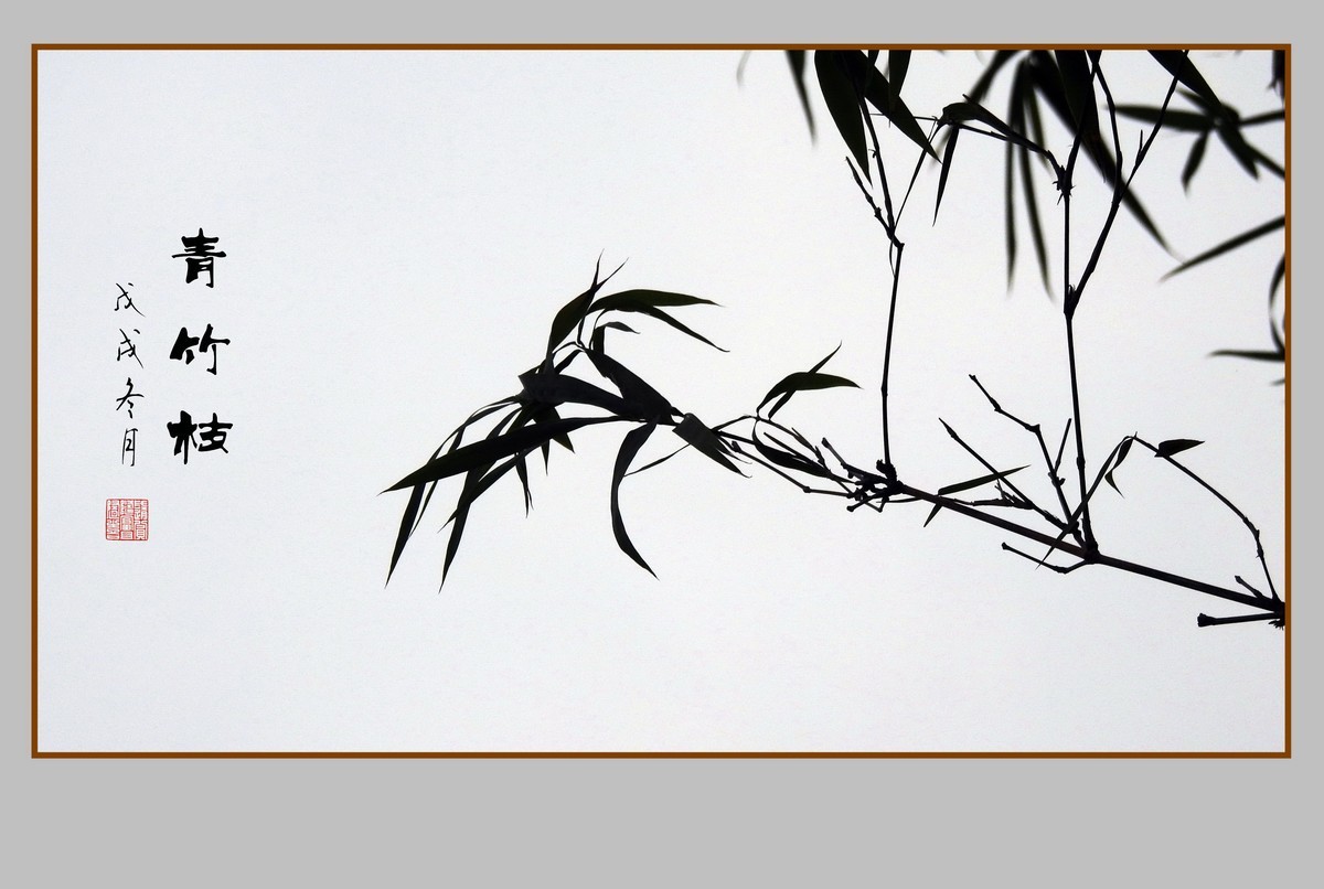 逆光瘦竹更幽雅