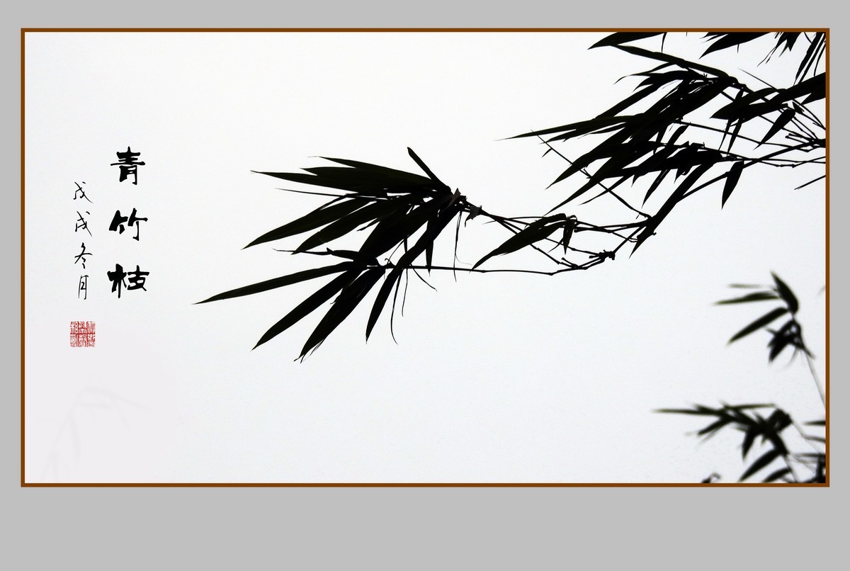 逆光瘦竹更幽雅