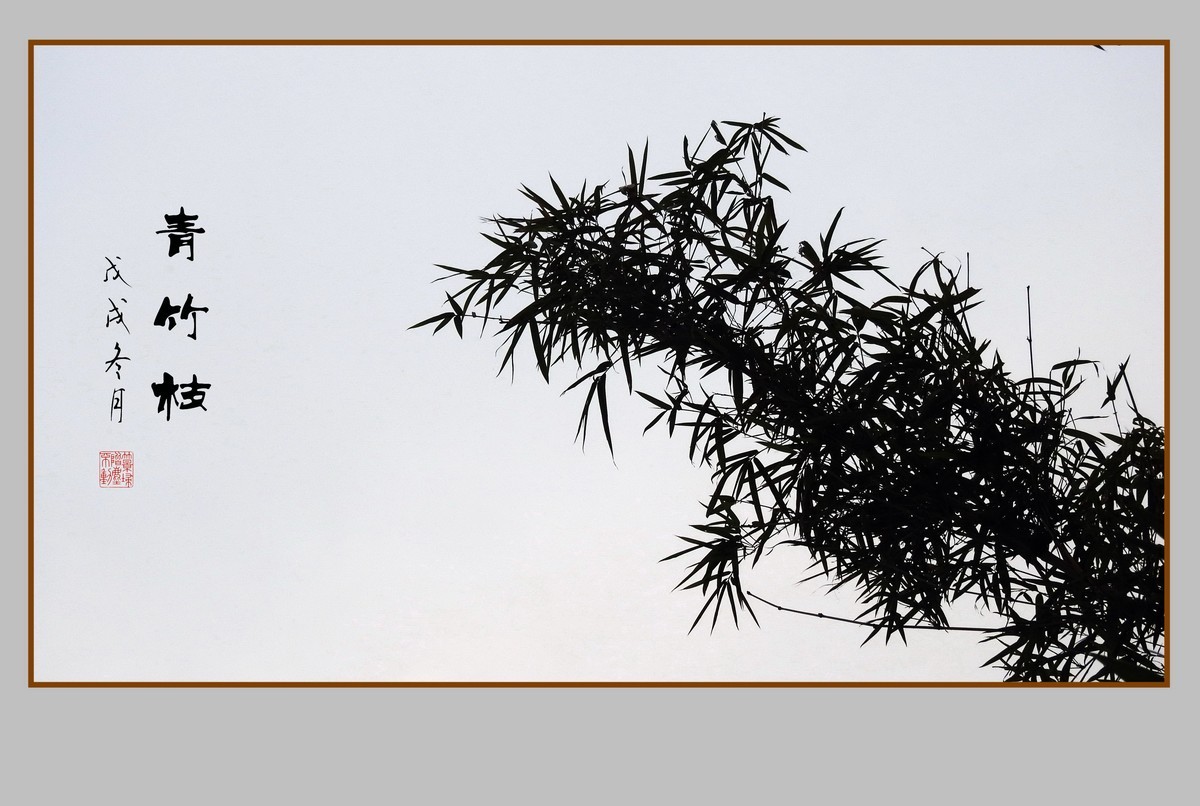 逆光瘦竹更幽雅