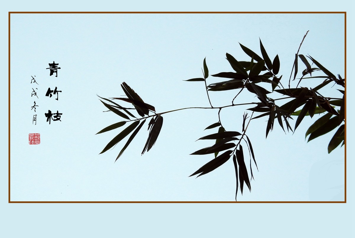 逆光瘦竹更幽雅