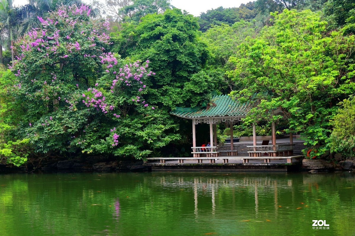 南宁植物园在青秀山风景区正式揭牌-中国植物园联盟