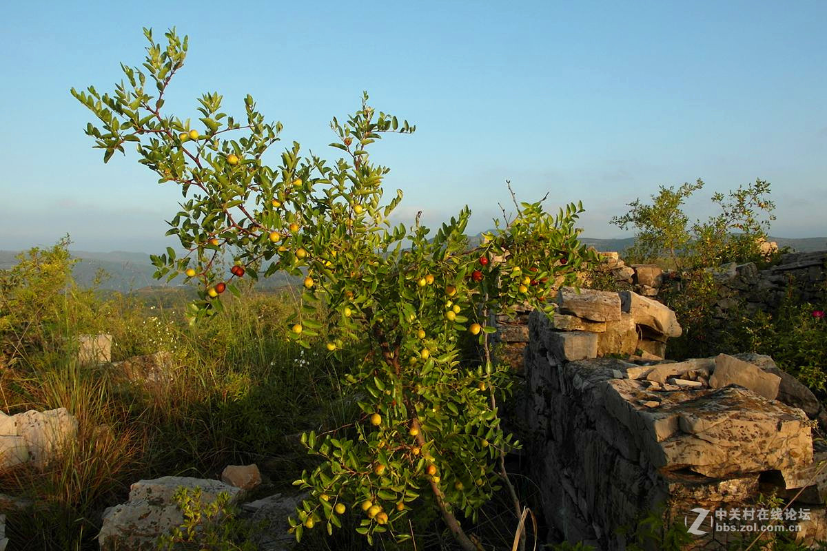 『秋日沂蒙山区的一个清晨』123...12P