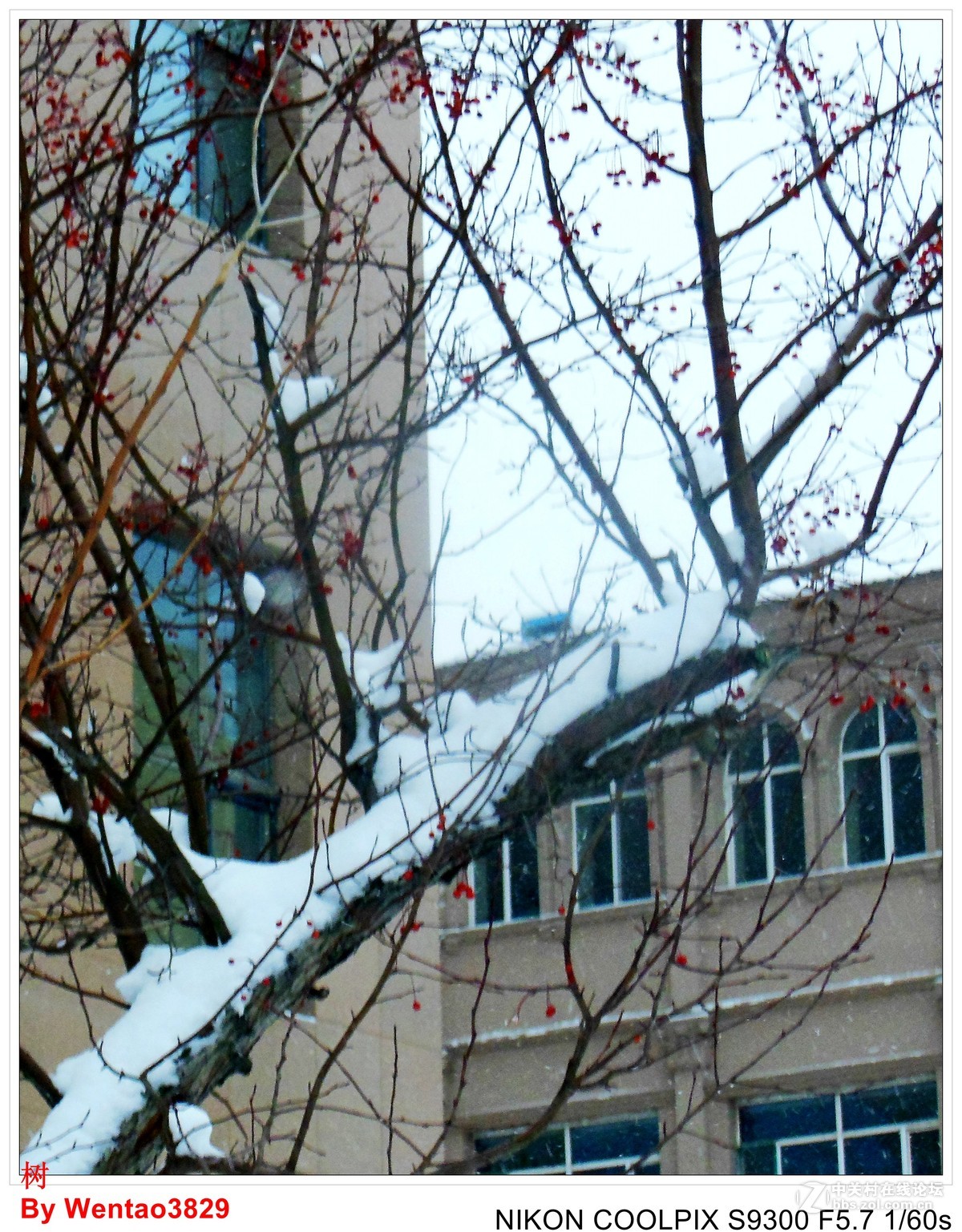 2015年第一场雪