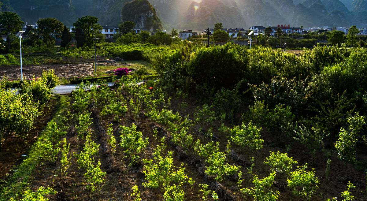 【万峰林】夕拍