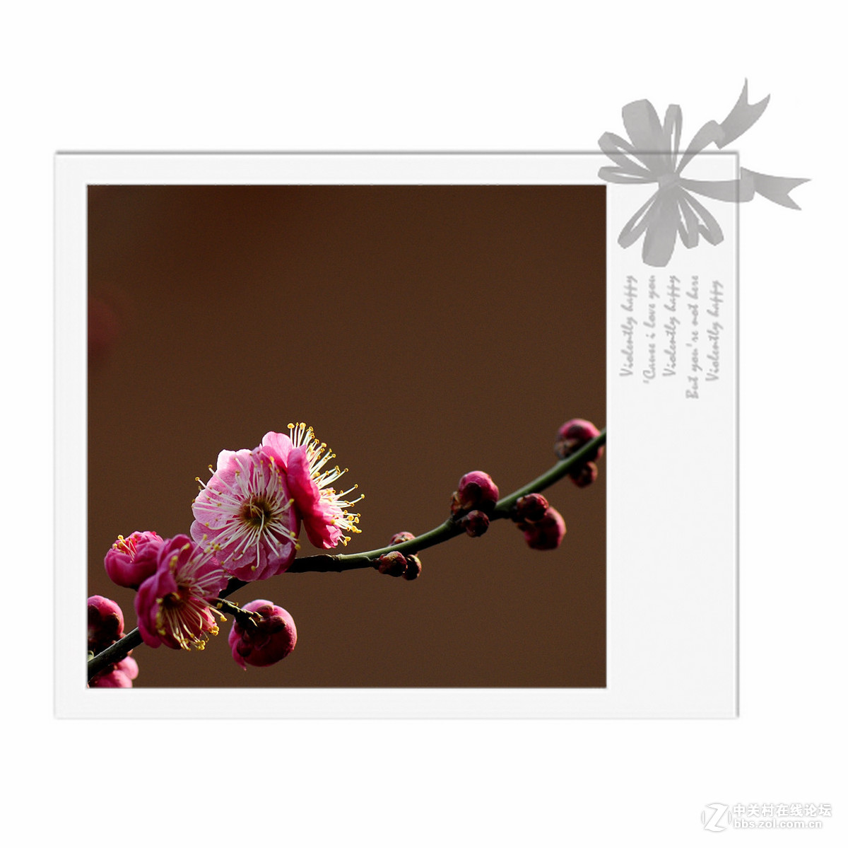 春天里的一抹香