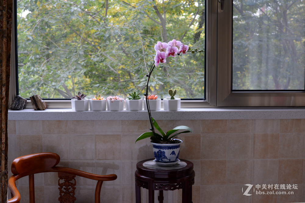 倍受争议但很好玩儿的一支头