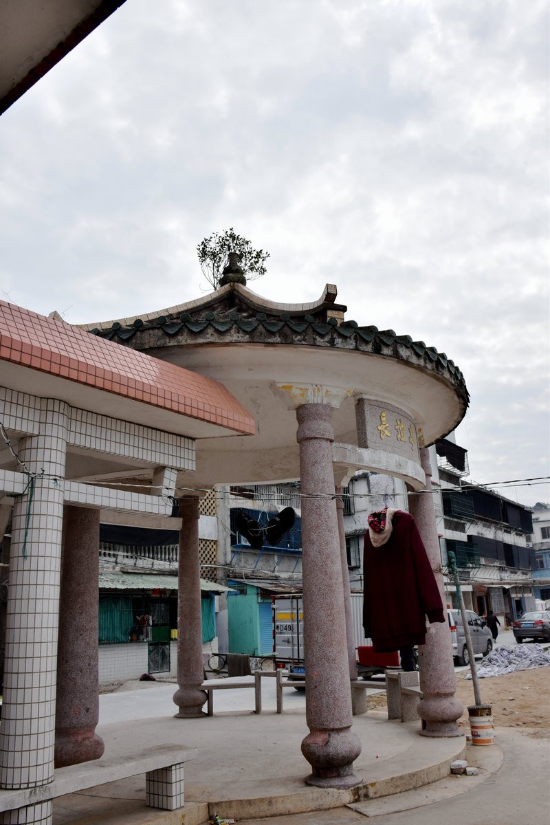 2018春节 闽粤赣（79）汕头  妈屿