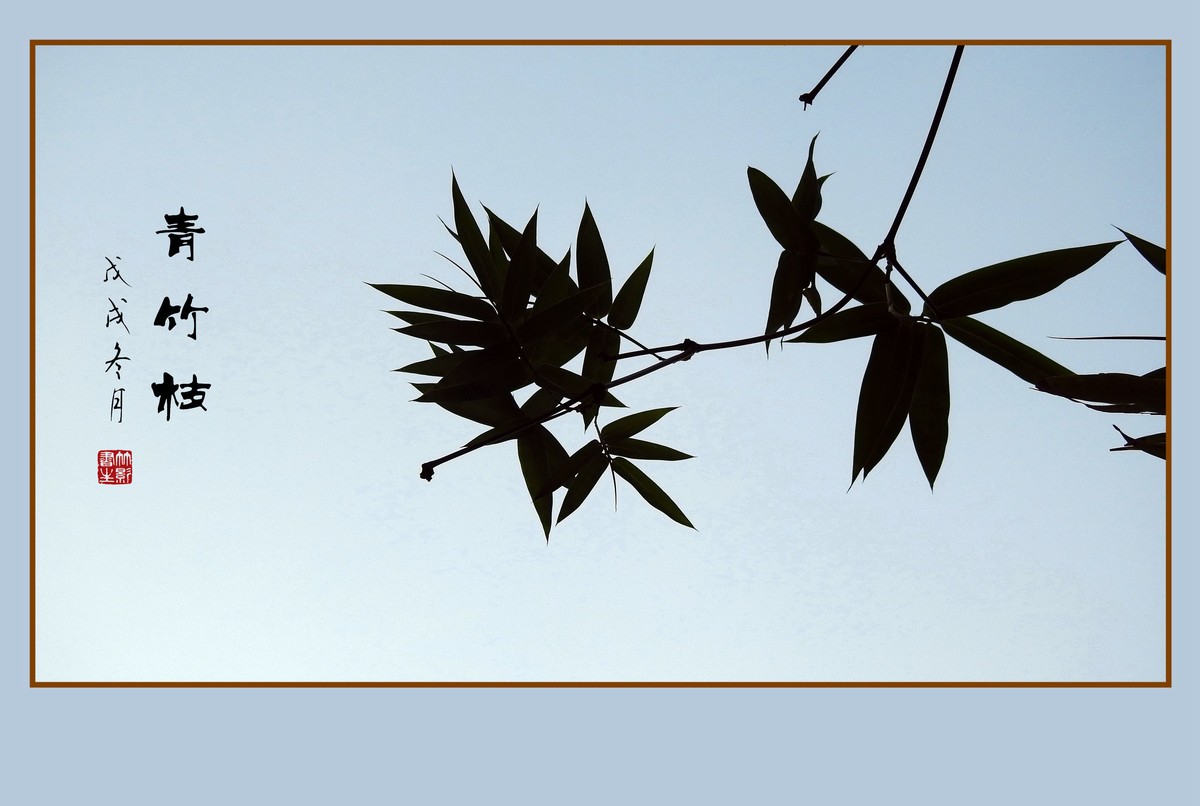逆光瘦竹更幽雅
