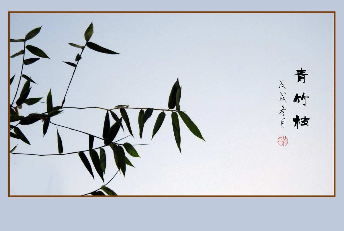 逆光瘦竹更幽雅