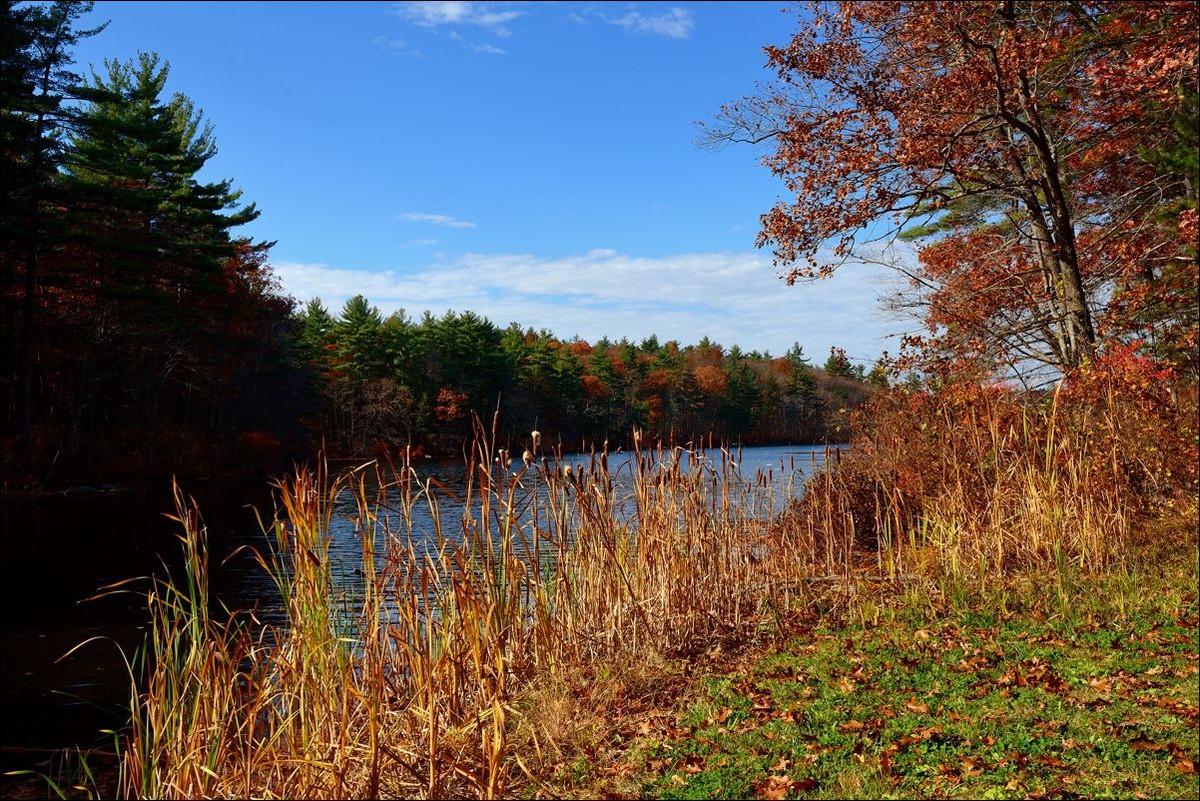 休闲随拍（253）