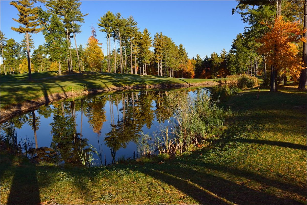 休闲随拍（280）