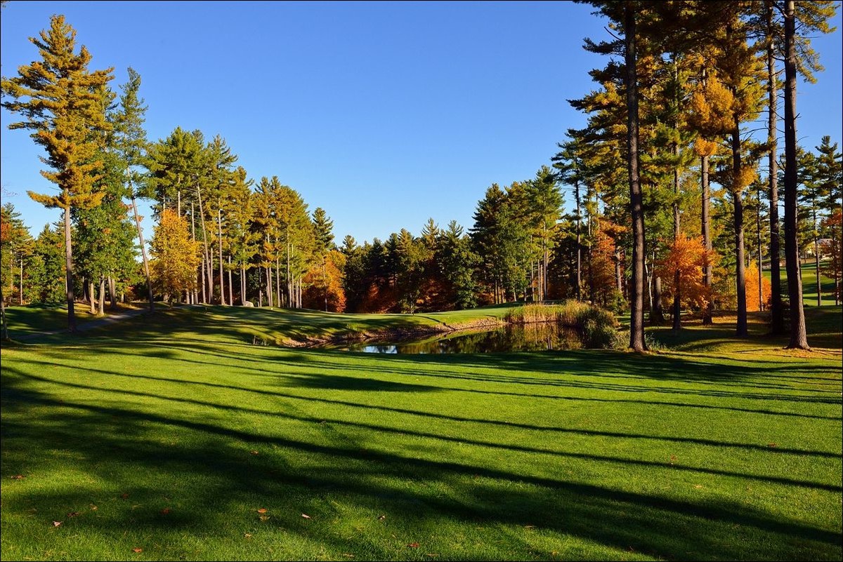 休闲随拍（280）