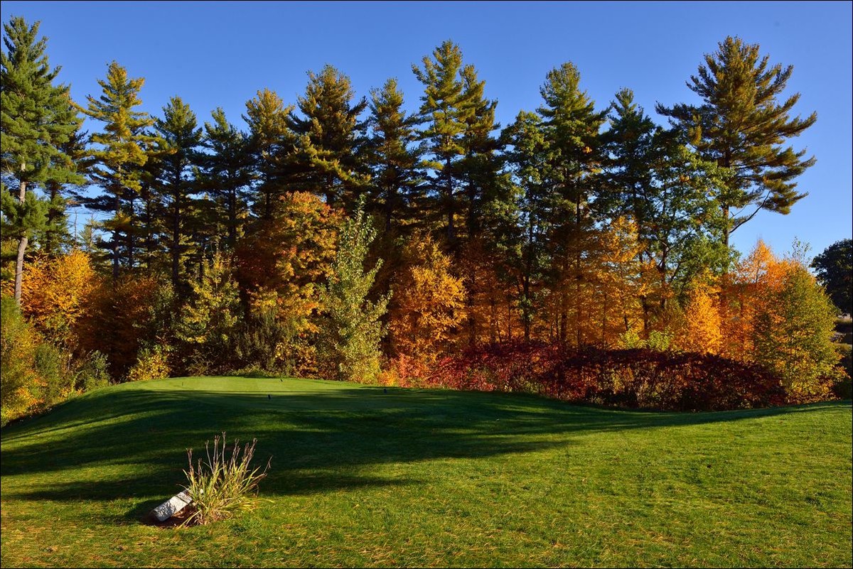 休闲随拍（280）