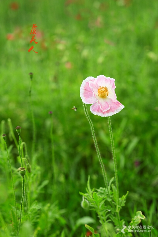 《D610星空(中国)2016年5月精选作品展示》