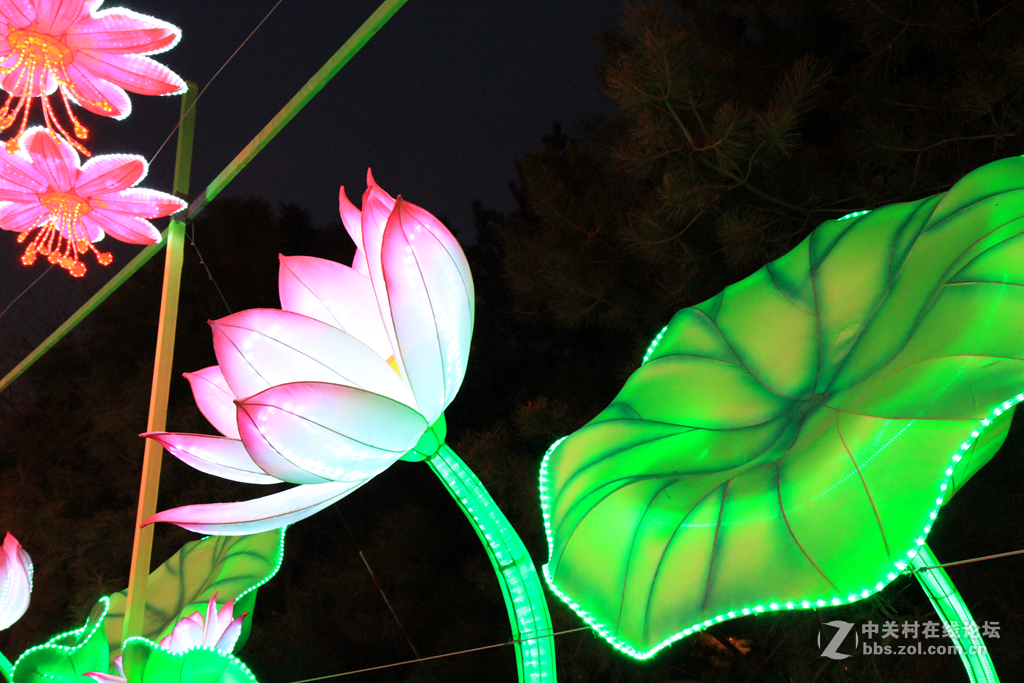 重发西安大唐芙蓉园灯展9P