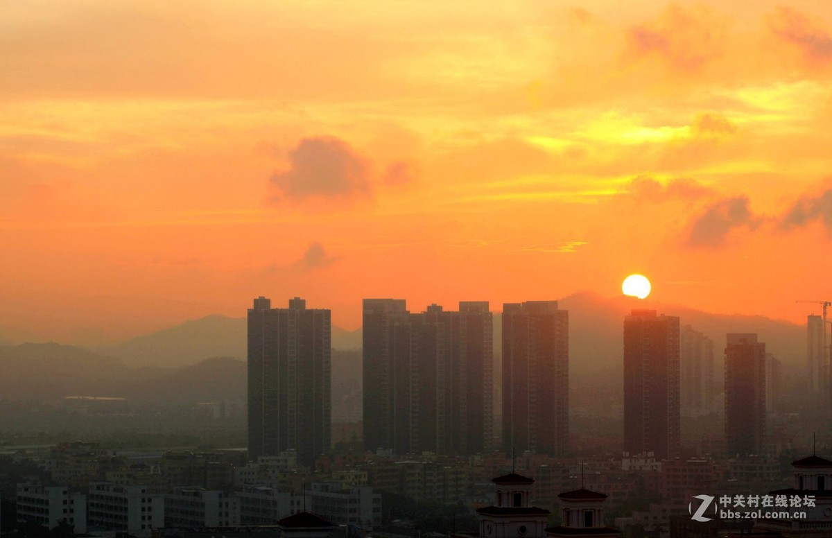 雾里看日出更添朦胧飘渺意2