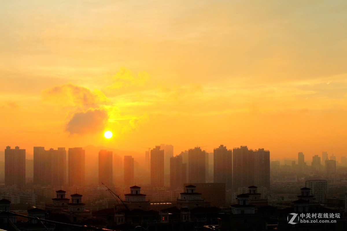 雾里看日出更添朦胧飘渺意2