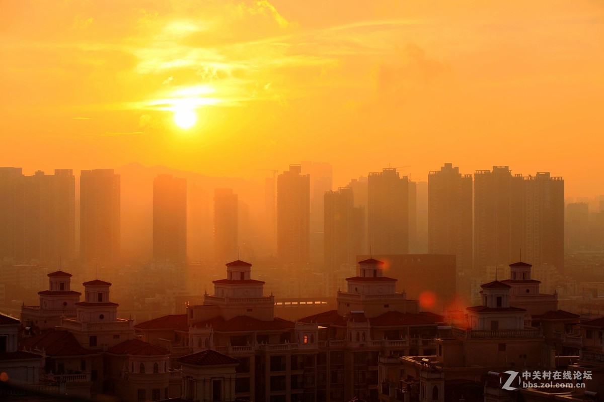 雾里看日出更添朦胧飘渺意2