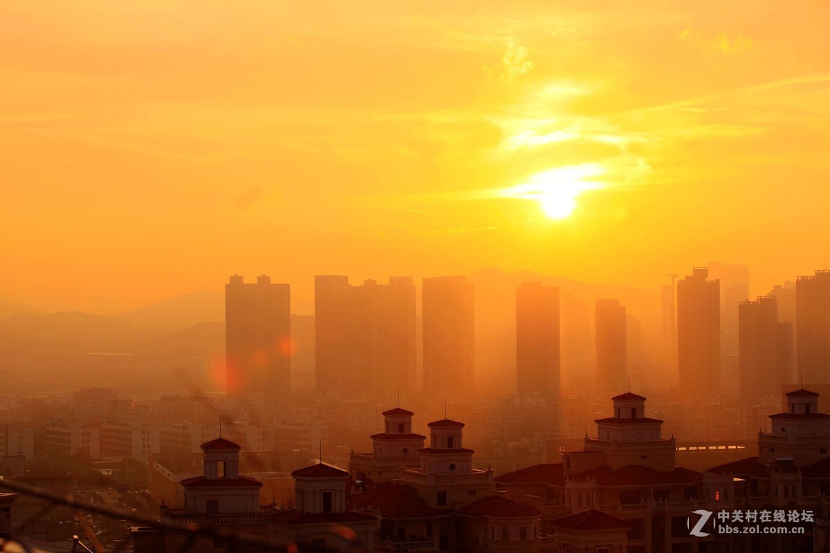 雾里看日出更添朦胧飘渺意2