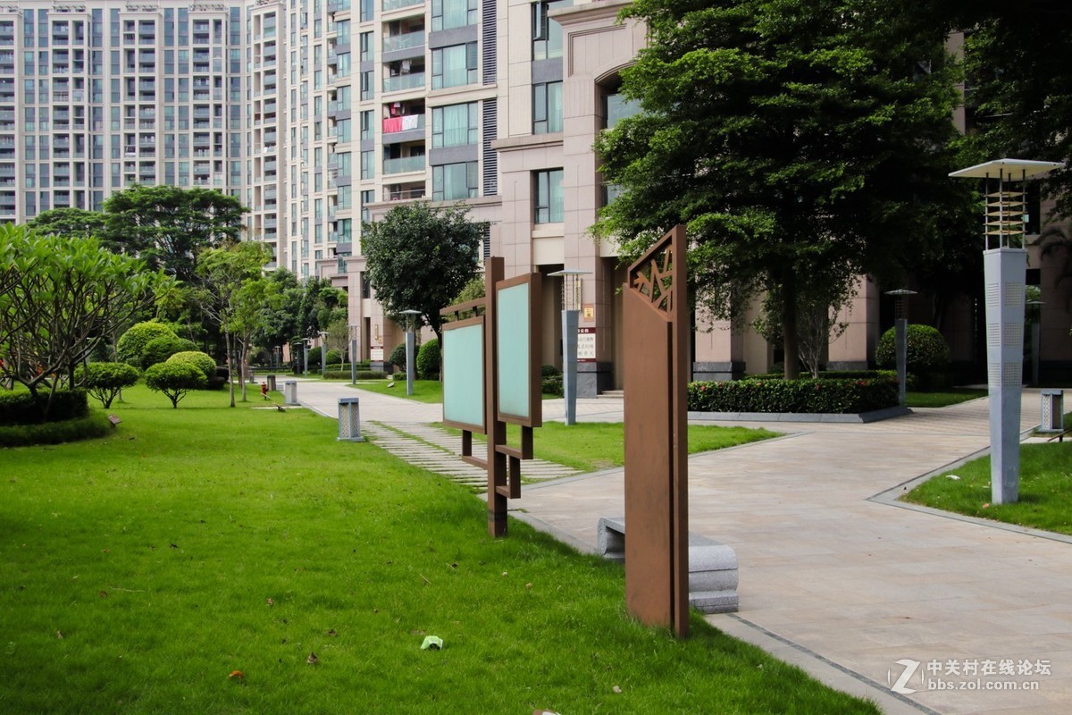 觉得最难拍摄清晰的是风景片