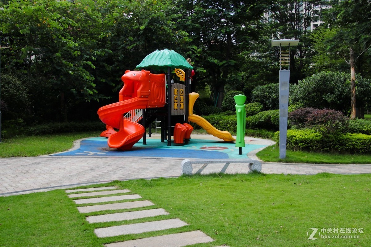 觉得最难拍摄清晰的是风景片