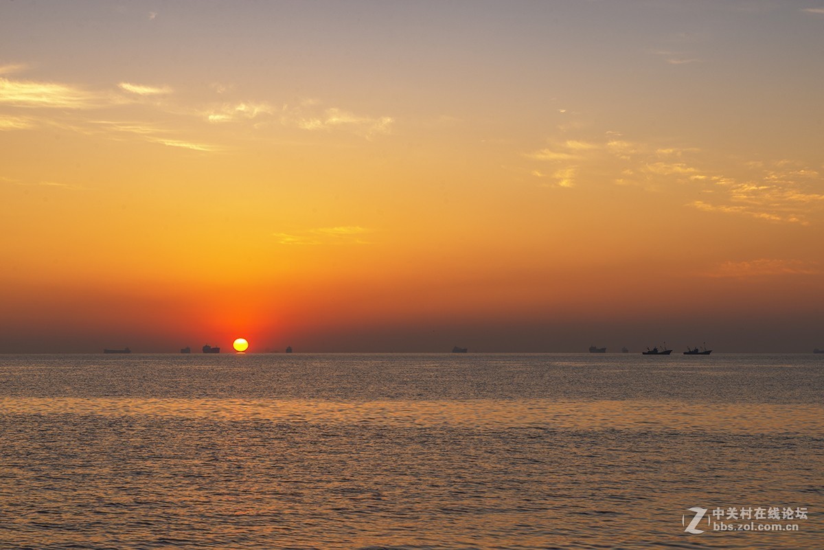 日出海花红胜火